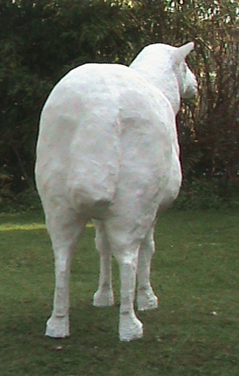 original Cardigan Fields sheep