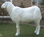 plaster sheep