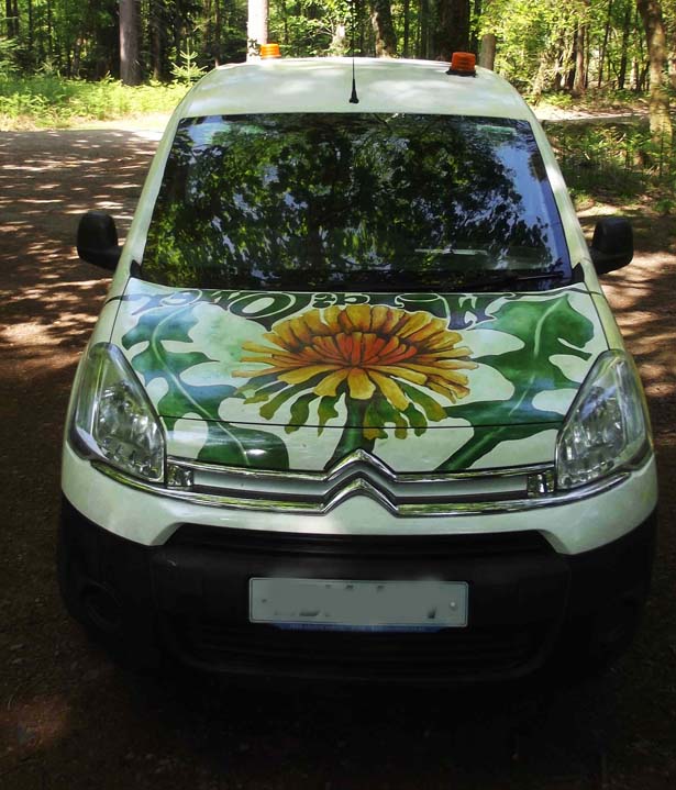 painted van by tom cousins